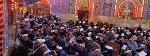 برگزاری احیاء شب قدر و عزاداری و سوگواری شهادت امام علی (ع) در کربلای معلا 8