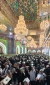 گزارش تصویری : شب بیست و سوم ماه مبارک رمضان در کربلای معلا  2