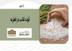 قوت غالب در فطریه