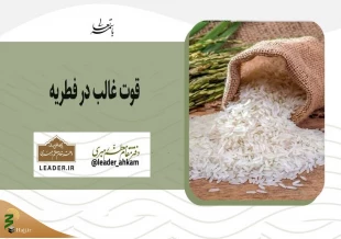 قوت غالب در فطریه 2