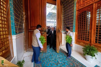  افتتاح باب الرضا در حرم امیرالمومنین علیه‌السلام 6