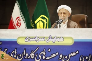 تاکید سرپرست حجاج ایرانی برکسب رضایت زائران در حج پیش رو 10
