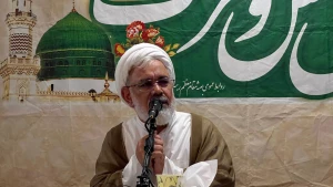 حجت‌الاسلام ثمری: 

عده‌ای در سفر حج هجرت می‌کنند + فیلم
