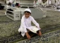 گزارش تصویری از مسجد النبی + عکس 2