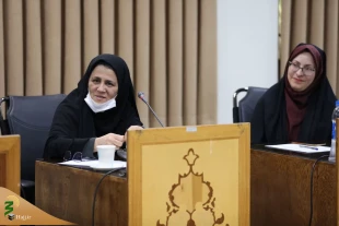 سرپرست حجاج ایرانی: با توجه به استقبال داوطلبانه زائران، طرح بهره از خدمات افتخاری زائران در حج گسترش می یابد 10