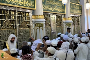 زیارت روضه رضوان مسجد النبی با  ثبت نام اینترنتی مقدور است 6