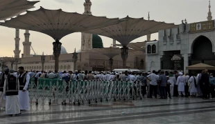 زیارت روضه رضوان مسجد النبی با  ثبت نام اینترنتی مقدور است 10