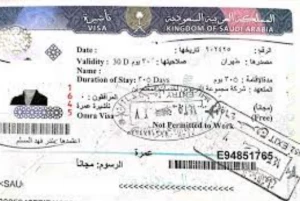 چند ویزا برای زئران ایرانی حج تمتع 1402 صادر شده است؟