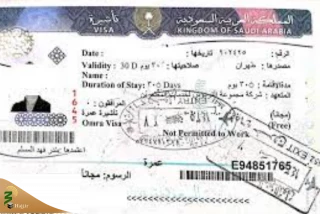 چند ویزا برای زئران ایرانی حج تمتع 1402 صادر شده است؟