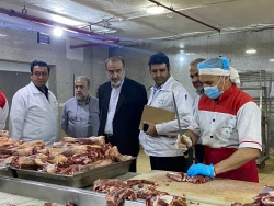 در بازدید از آشپزخانه «ابوجدایل» مکه؛
رضایی: ایران در تغذیه زائران پرچمدار طرح‌های نو و الگوی سایر کشورها بوده است 2