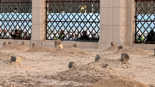 گزارش تصویری از قبرستان بقیع + عکس 8