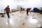 بازدید مسئولان حوزه حج و زیارت از آشپزخانه بدر در مدینه 9