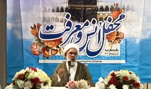حجت الاسلام علی ثمری:
ضیوف الرحمان در ایام حج دل‌هایشان را مملو از عشق به امیرالمومنین(ع) کنند 7