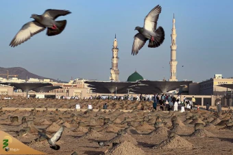 قبرستان بقیع 39