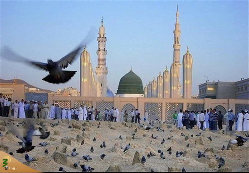 مدینه از دریچه دروبین زائران ایرانی (9)
زیارت مسجدالنبی، مرقد پیامبر و ائمه بقیع (ع) 2