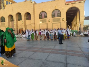 شهر پیامبر از دریچه دوربین زائران ایرانی (9)
درون مسجدالنبی 11