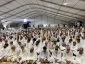 پیام مهم رهبر انقلاب به حجاج بیت‌الله الحرام 3
