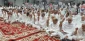 Echo of Slogans of Disavowal of Pagans by Iranian Pilgrims in Arafat 4
