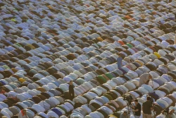 دعای عرفه در جوار حرم سیدالشهدا(ع)  4