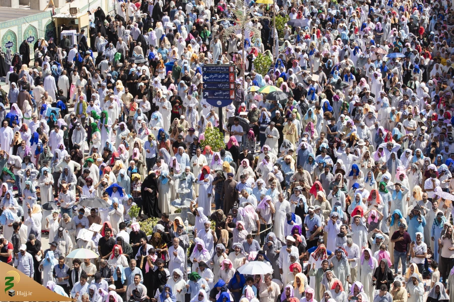 دعای عرفه در جوار حرم سیدالشهدا(ع)  10