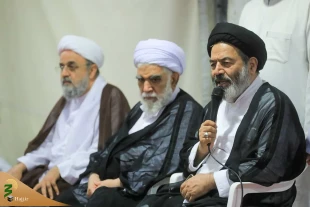 دیدار سرپرست حجاج ایرانی با زائران نخبه و فرهیخته مسلمان ۱۷ کشور 2