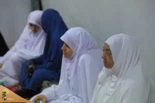 دیدار سرپرست حجاج ایرانی با زائران نخبه و فرهیخته مسلمان ۱۷ کشور 5