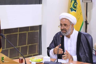 سرپرست حجاج ایرانی:

هتاکی به کلام الهی درسوئد محکوم است 5