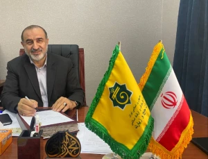 غلامرضا رضایی عنوان کرد؛
عملیات حج امسال بهتر از پیش‌بینی‌ها بود/ وضعیت سلامت زائران رضایت بخش است