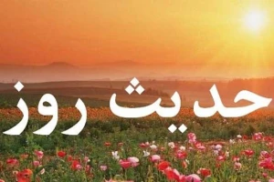 ارزش بدن انسان