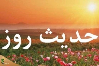 ارزش بدن انسان