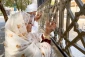 قبرستان ابوطالب (مَعْلاة / حجون)+فیلم 14
