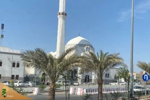 استقبال زائران ایرانی از برنامه «زیارت دوره» مدینه + عکس و فیلم 7