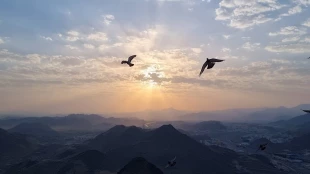 سرزمین وحی از دریچه دوربین زائران ایرانی (22)
غار حرا 5
