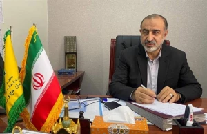 کارگروه های تخصصی آسیب شناسی عملیات حج تمتع تشکیل شد