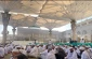 زیارت بارگاه منور پیامبر گرامی اسلام در مدینه + عکس و فیلم 9