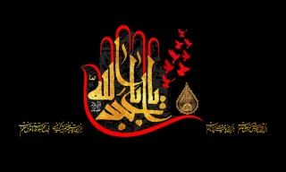 مراقب انسان