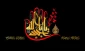 مراقب انسان 2