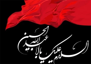 با کاروان عشق (12)

من پسر علی ام...