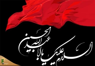 با کاروان عشق (12)

من پسر علی ام...