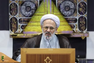 رییس کمیته فرهنگی اربعین:

عکاسان، جلوه های انسانی اربعین را به جهانیان نشان دهند 5