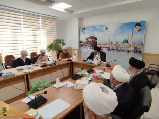 سرپرست حجاج ایرانی خبر داد؛

تبیین استطاعت جسمی زائران حج در کارگروه فقهی و پزشکی ارائه می‌شود 3