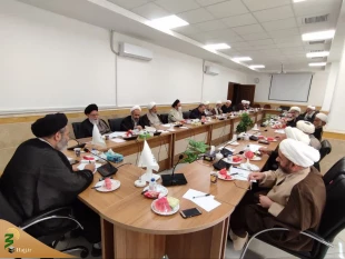 سرپرست حجاج ایرانی خبر داد؛

تبیین استطاعت جسمی زائران حج در کارگروه فقهی و پزشکی ارائه می‌شود 4