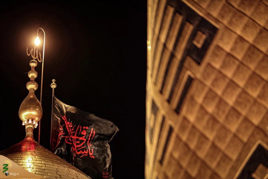 عزاداری زائران اربعین حسینی در کربلای معلی 15