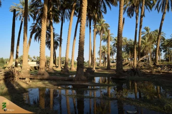 عبور زائران اربعین حسینی از طریق الفرات 24