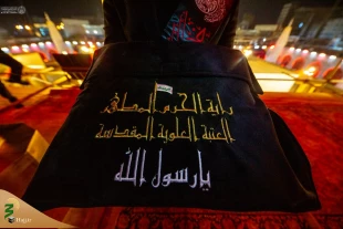 سیاه پوش شدن حرم امیرالمؤمنین(ع) در آستانه رحلت پیامبر اعظم(ص) 4