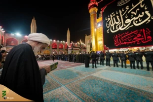 سیاه پوش شدن حرم امیرالمؤمنین(ع) در آستانه رحلت پیامبر اعظم(ص) 5