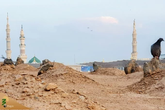 بقیع آرامگاه  امام حسن علیه السلام 7