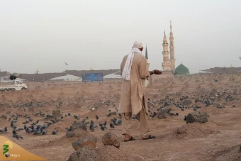 بقیع آرامگاه  امام حسن علیه السلام 16