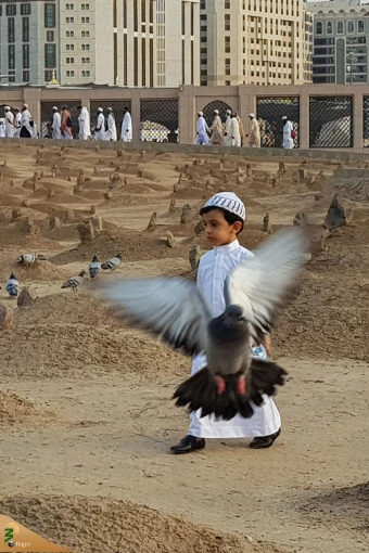 بقیع آرامگاه  امام حسن علیه السلام 18