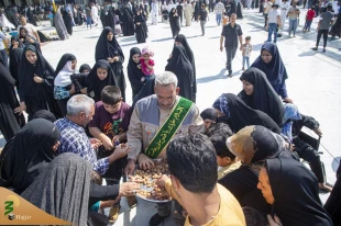 تصاویر/ توزیع خرمای نخیلات بین الحرمین کربلا 8
